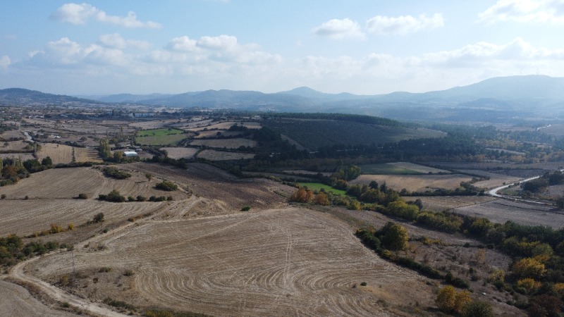 Lapseki Balcılar Köyü`daTarla. - 9