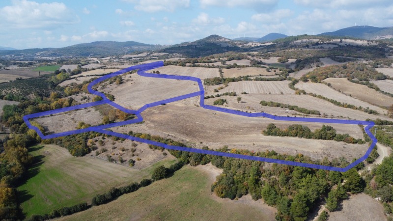 Lapseki Balcılar Köyü`daTarla. - 14