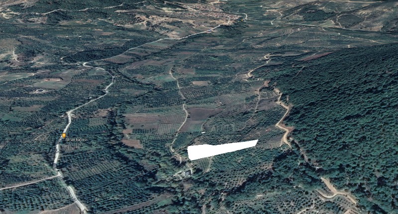 Bayramiç Ayazma Yolu Üzeri Mah (Evciler Köyü)`daBağ & Bahçe. - 3