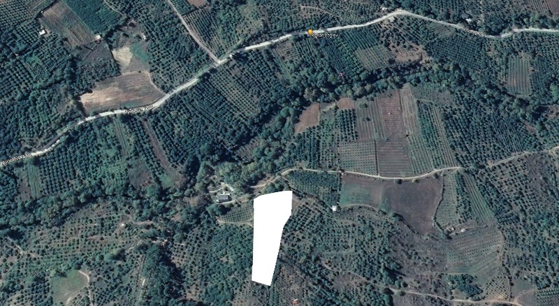 Bayramiç Ayazma Yolu Üzeri Mah (Evciler Köyü)`daBağ & Bahçe. - 4