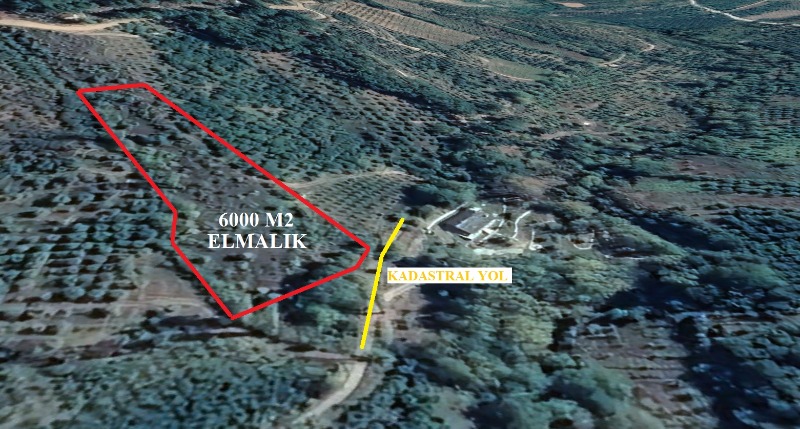 Bayramiç Ayazma Yolu Üzeri Mah (Evciler Köyü)`daBağ & Bahçe. - 6