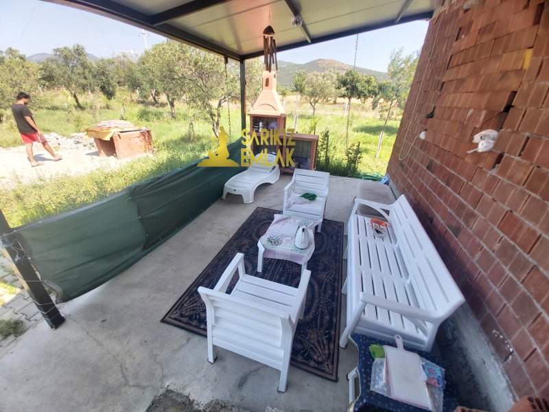 Burhaniye Börezli Mah`daZeytinlik. - 6