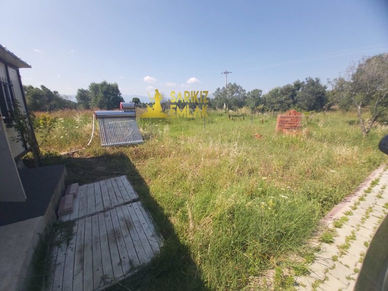 Burhaniye Börezli Mah`daZeytinlik. - 8