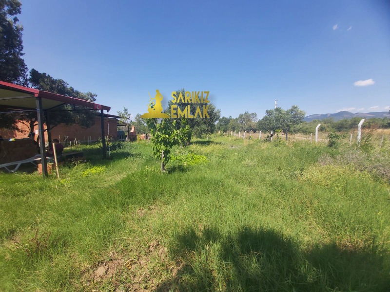 Burhaniye Börezli Mah`daZeytinlik. - 9