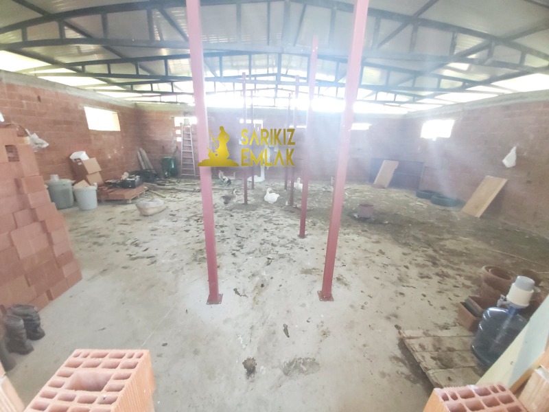 Burhaniye Börezli Mah`daZeytinlik. - 10