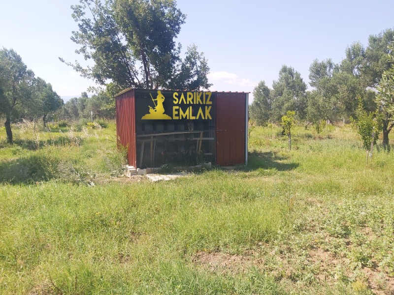 Burhaniye Börezli Mah`daZeytinlik. - 14