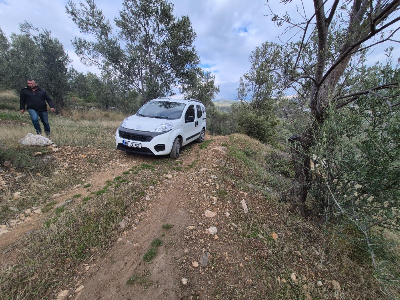 Edremit Yolören Mah`daZeytinlik. - 4