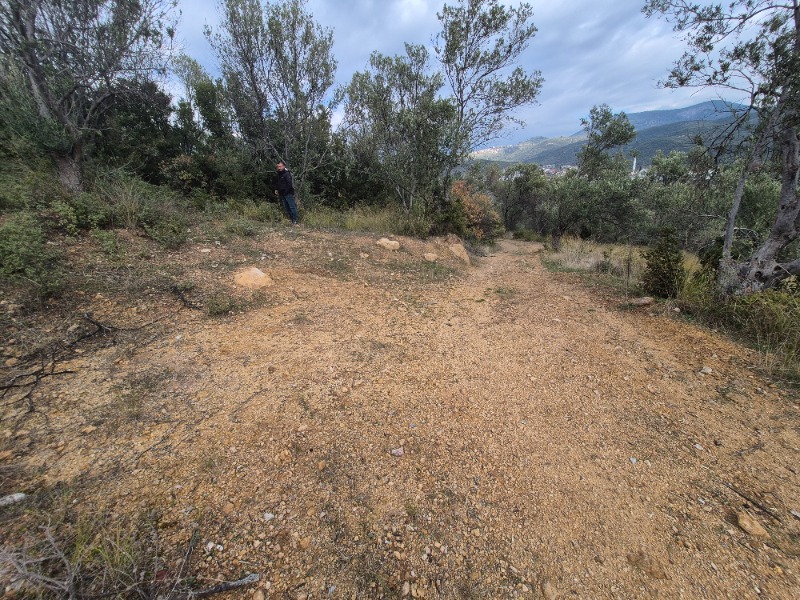 Edremit Yolören Mah`daZeytinlik. - 5