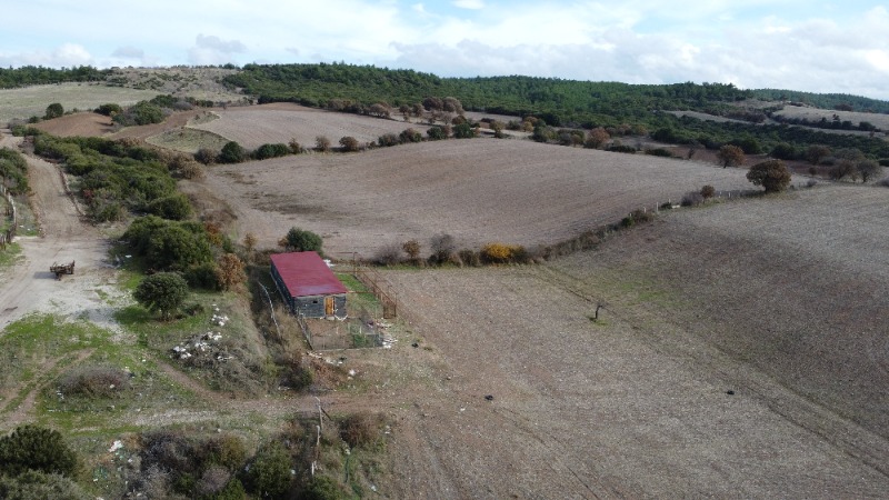 Ezine Çarıksız Köyü`daTarla.