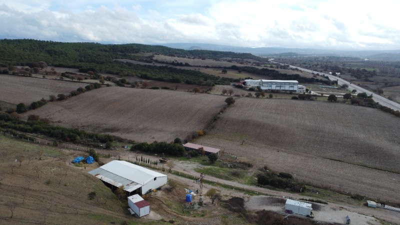 Ezine Çarıksız Köyü`daTarla. - 3