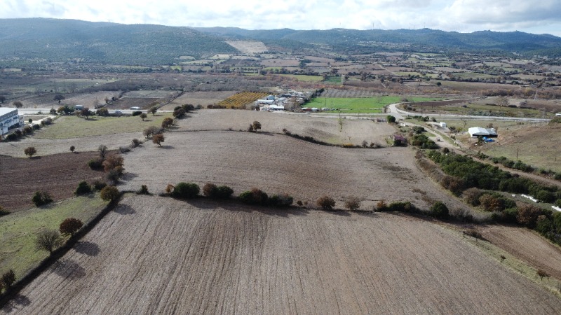 Ezine Çarıksız Köyü`daTarla. - 7