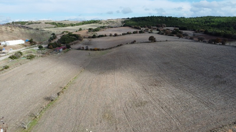 Ezine Çarıksız Köyü`daTarla. - 9