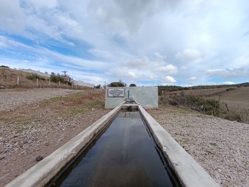 Ezine Çarıksız Köyü`daTarla. - 12