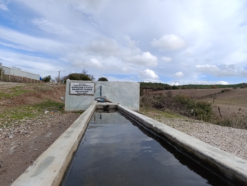 Ezine Çarıksız Köyü`daTarla. - 13